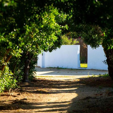 Casara Tres - 2 Dormitorios - Jardin Y Acceso Privado A La Playa ซาโฮรา ภายนอก รูปภาพ
