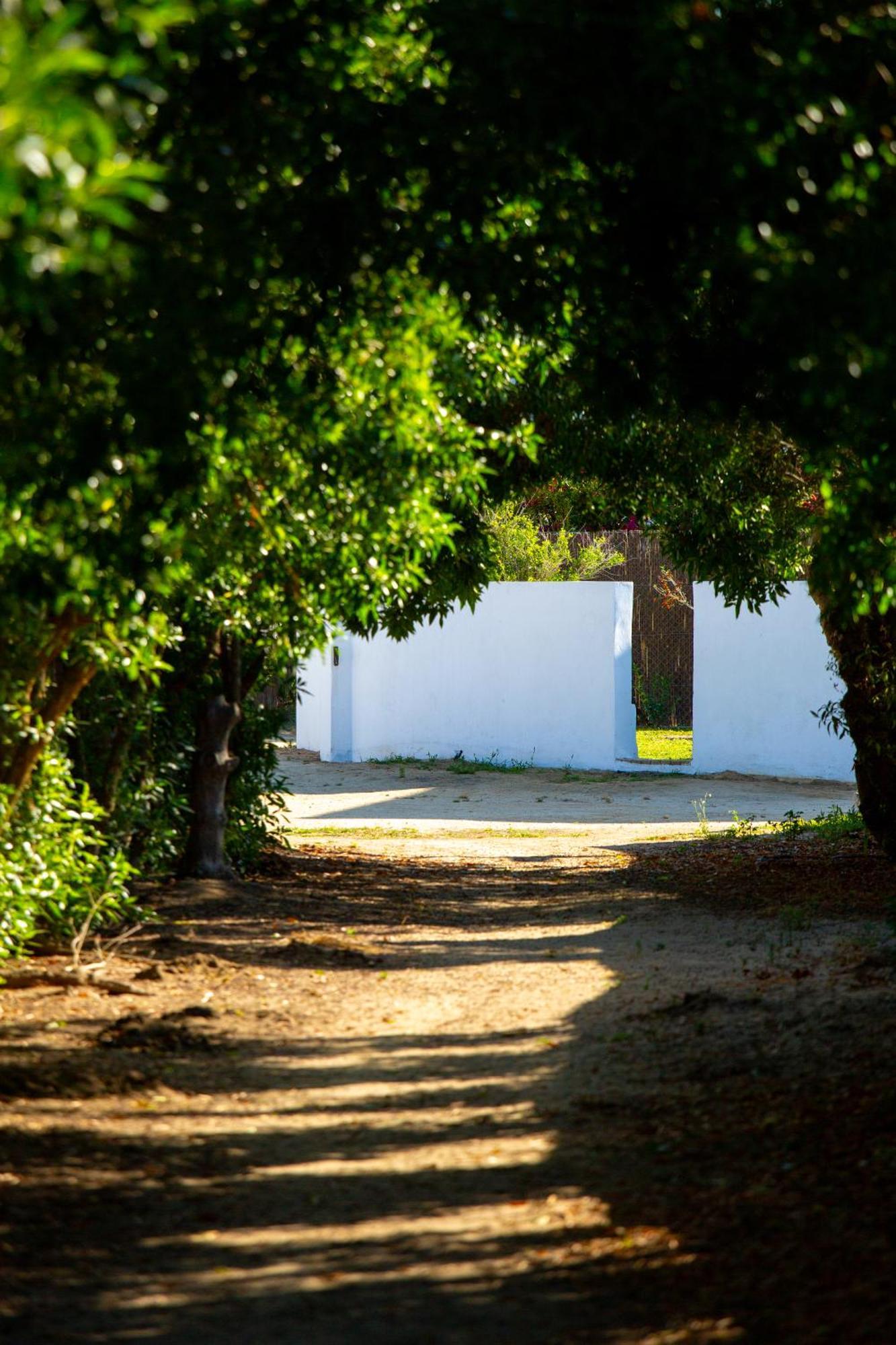 Casara Tres - 2 Dormitorios - Jardin Y Acceso Privado A La Playa ซาโฮรา ภายนอก รูปภาพ